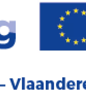 Logo Emerge