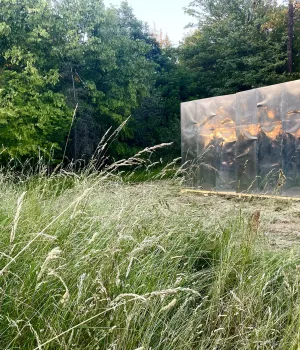 "Cœur des Ténèbres" à l'Arboretum d'Amance (54)