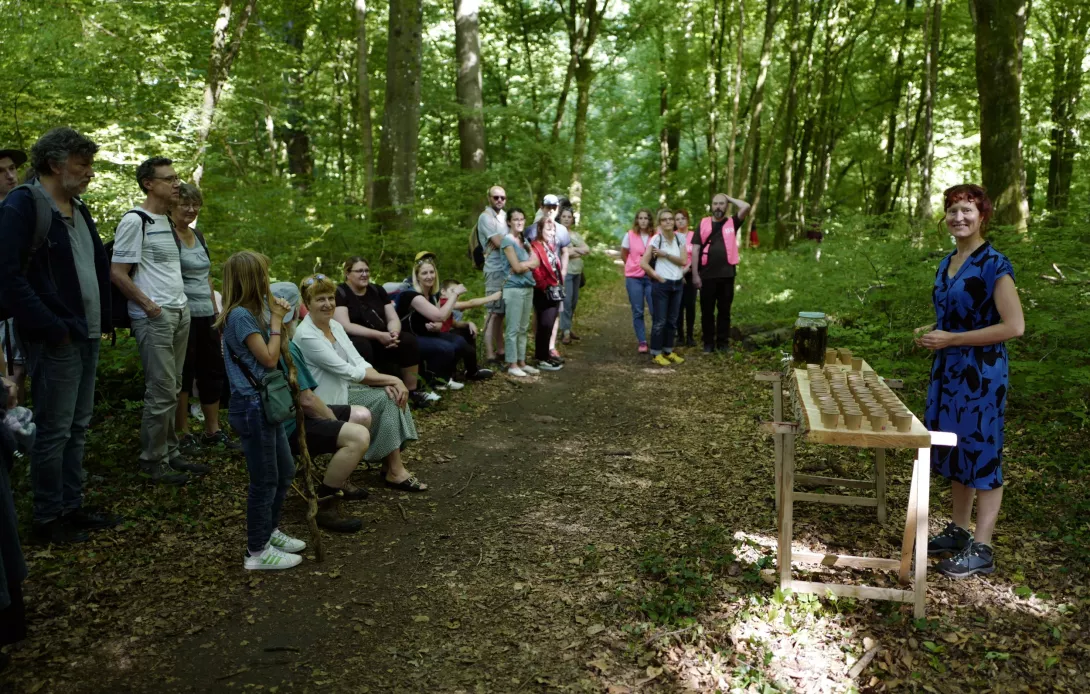 La Chevêche de Julie Desprairies © Alain Julien La Chevêche de Julie Desprairies